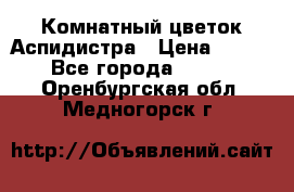 Комнатный цветок Аспидистра › Цена ­ 150 - Все города  »    . Оренбургская обл.,Медногорск г.